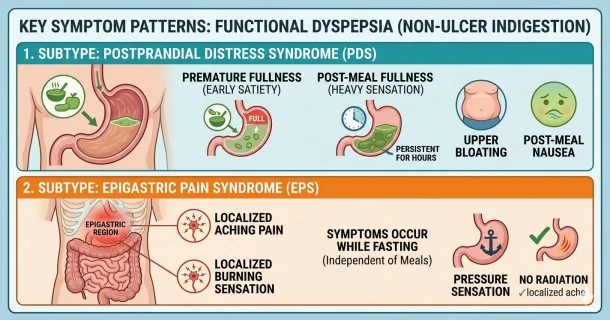 • Specialized clinical infographic outlining Functional Dyspepsia symptoms based on Rome IV criteria, comparing the meal-induced fullness of Postprandial Distress Syndrome (PDS) with the localized aching and burning of Epigastric Pain Syndrome (EPS), alongside an emergency red flag checklist.